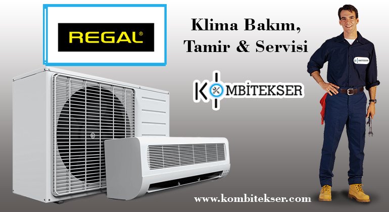 Regal Klima Servisi Çorlu